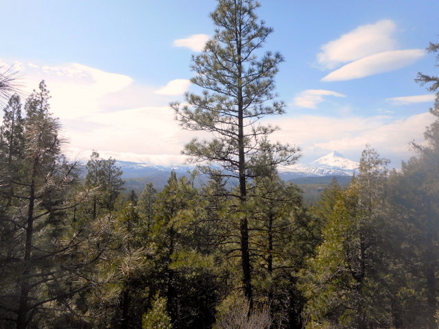 View of North Oregon Cascades from Central Oregon