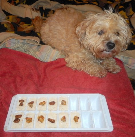 Nimbles yogurt treats... topped with pieces of her oatmeal snacks